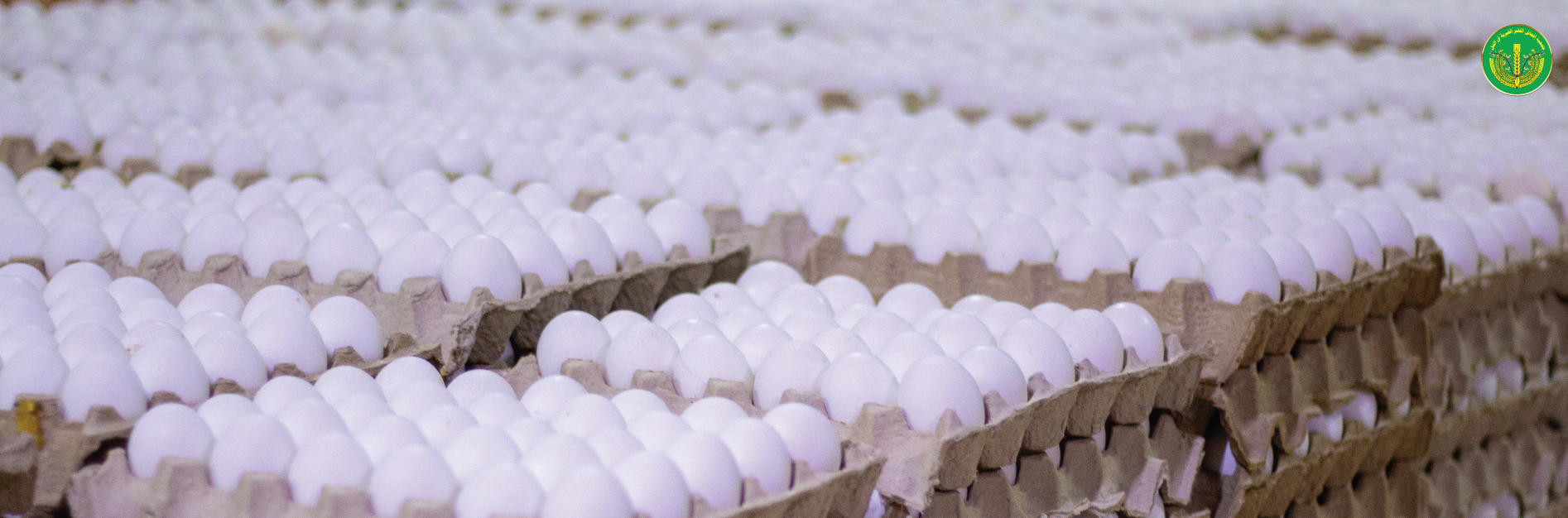 قسم الإدراج